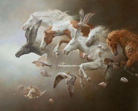 484439_145280158944154_630481884_n