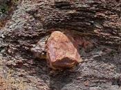 Microrrelato (140 palabras): Dropstone