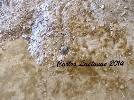 Los senderos de la agonía.