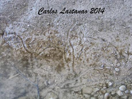 Los senderos de la agonía.