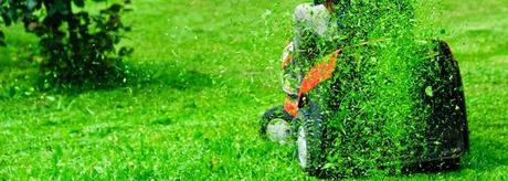 El cuidado de la hierba