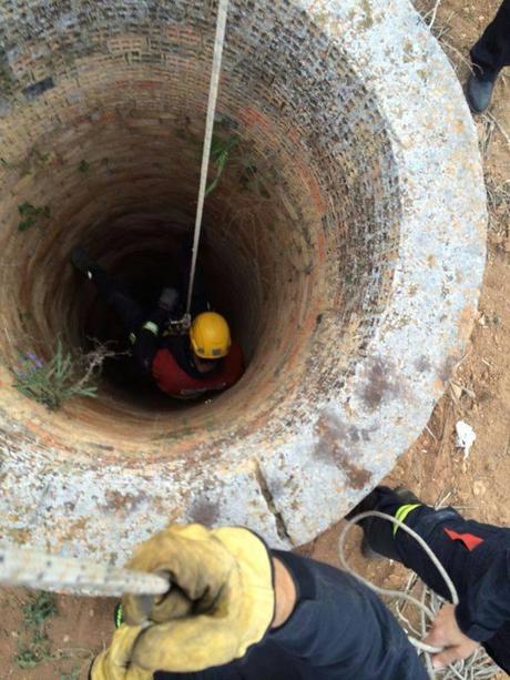 GALGUITA RESCATADA. (CUENCA)