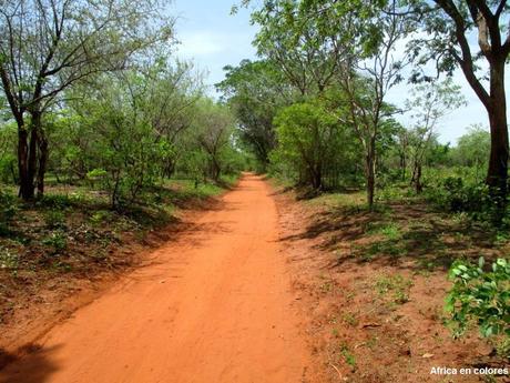 278. Komba, frontera con República Centroafricana