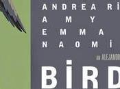 Teaser Trailer: Birdman Unexpected Virtue Ignorance
