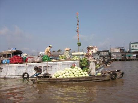 DELTA DEL MEKONG