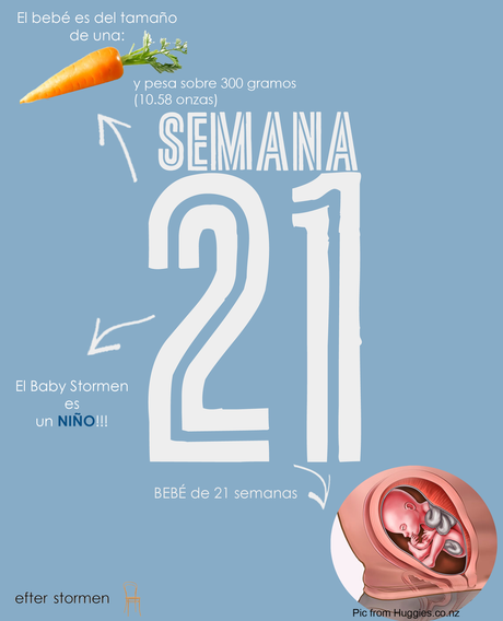 Semana 21 Embarazo | Week 21 Pregnancy