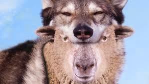 Organizando lo retrogrado a propósito de un caso