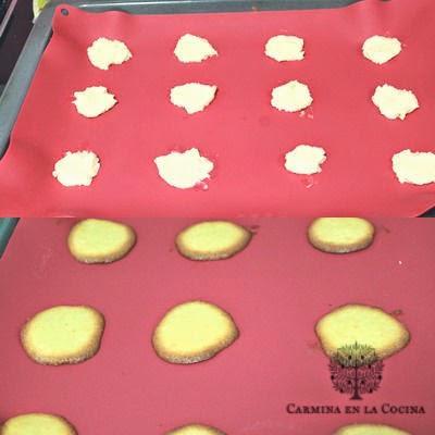 GALLETAS DE COCO Y VAINILLA GALLETAS DE COCO Y VAINILLA