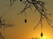 Pariendo vida muerte