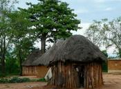 viaje vida: interminable, imposible