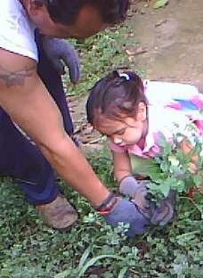 Una Revolución Paternal