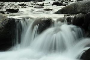 Rio Magdalena (Los Dinamos)