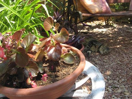 Desayuno veraniego en el jardín