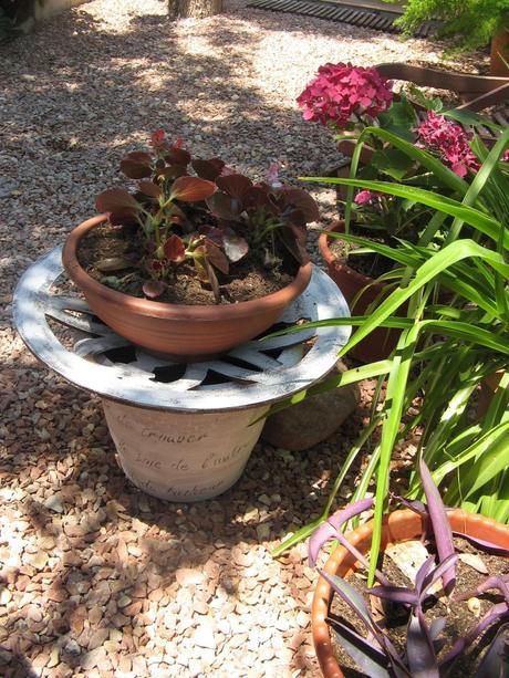 Desayuno veraniego en el jardín