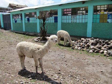 Callalli y Sibayo: tesoros secretos del Colca