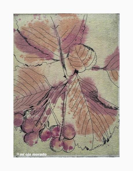 Inicios en aguafuerte