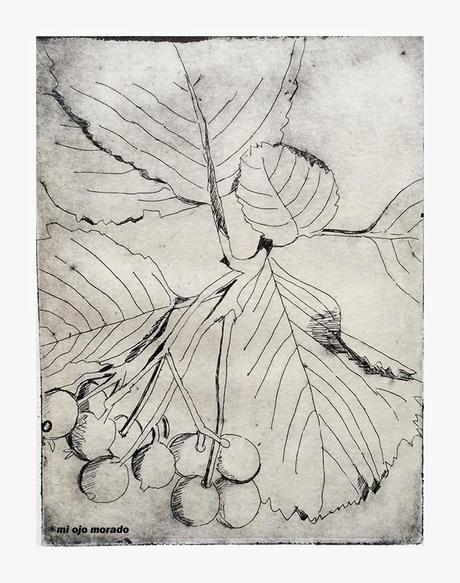 Inicios en aguafuerte