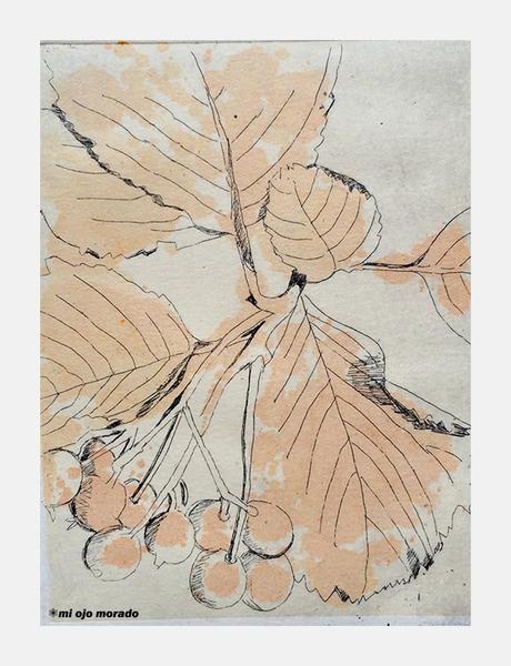 Inicios en aguafuerte