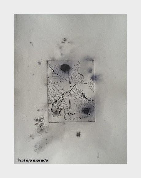 Inicios en aguafuerte