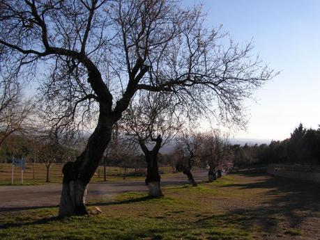 El Plan de conservación del Parque Natural y Reserva de la Biosfera del Montseny