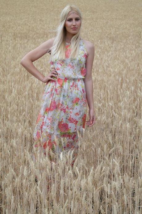 Soft Spring Soft Spring