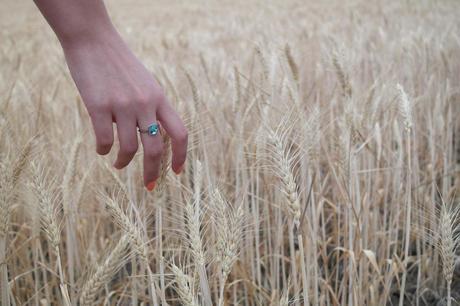 Soft Spring Soft Spring