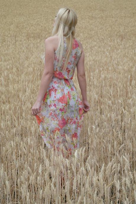 Soft Spring Soft Spring