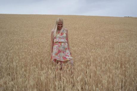 Soft Spring Soft Spring