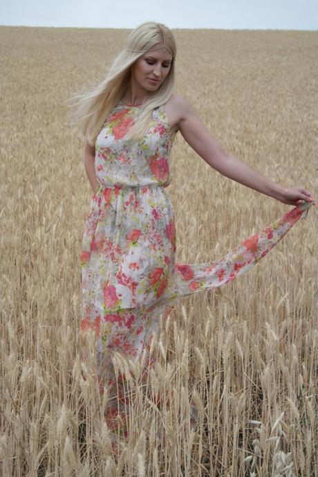 Soft Spring Soft Spring