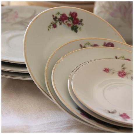 Bienvenida Primavera - Welcome Spring.