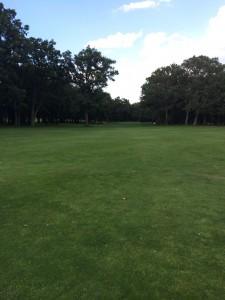 Calle del 15 con el árbol a la izquierda, pero en la calle