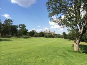 Espectacular foto desde la calle del 8