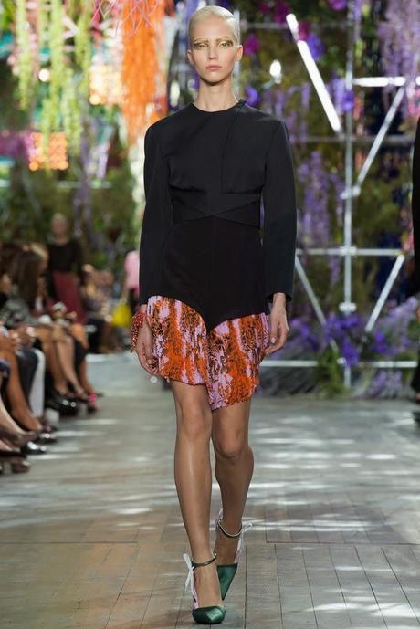 Pret a Porter Primavera-Verano 2014 - Christian Dior