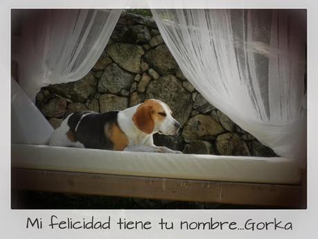 Puente de Mayo en Ávila