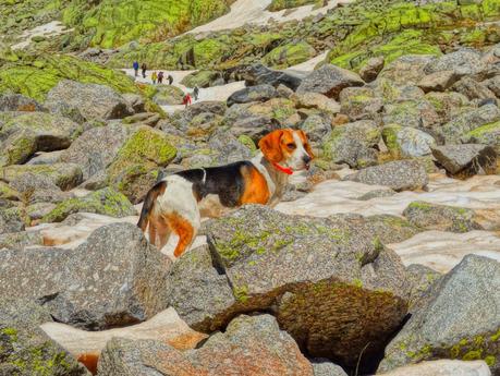 Puente de Mayo en Ávila
