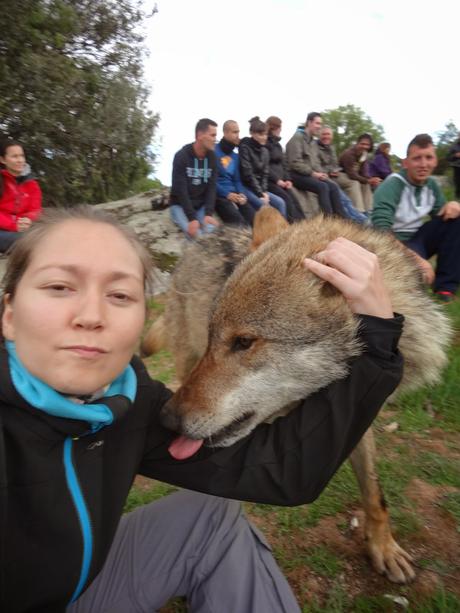 Un día entre lobos