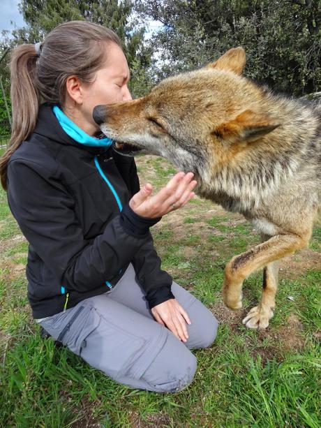 Un día entre lobos