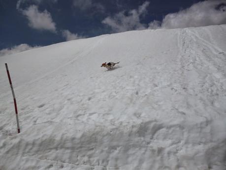 Últimos días de nieve en la sierra de Madrid