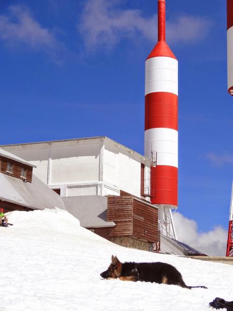 Últimos días de nieve en la sierra de Madrid