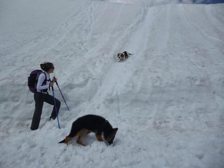 Últimos días de nieve en la sierra de Madrid
