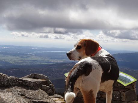 Otro día en la Sierra de Guadarrama, Alto del León