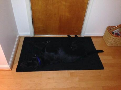 Un poco de distracción