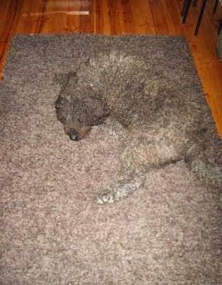 Un poco de distracción