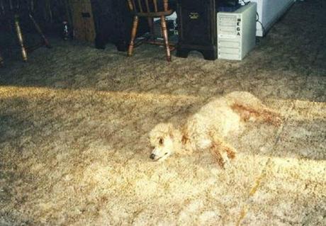 Un poco de distracción