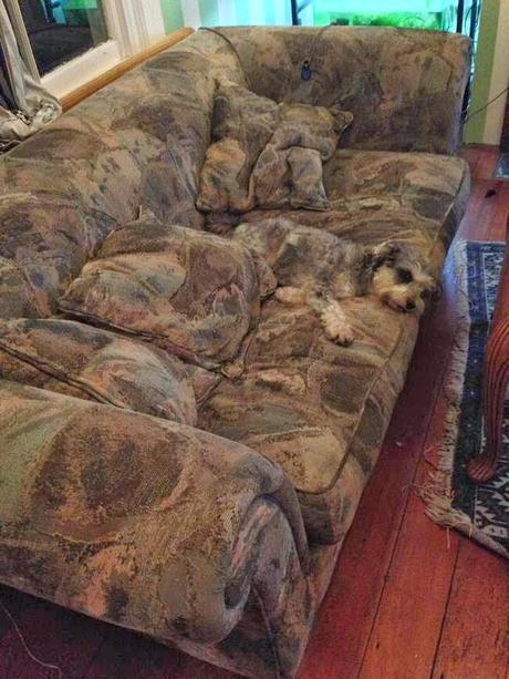 Un poco de distracción