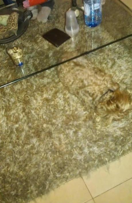 Un poco de distracción