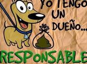Recoger heces perros...