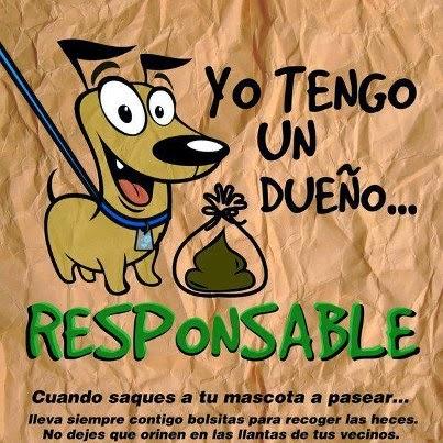 Recoger las heces de los perros...