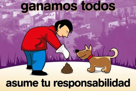 Recoger las heces de los perros...