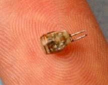 Crean marcapasos inalambrico del tamaño de un grano de arroz.